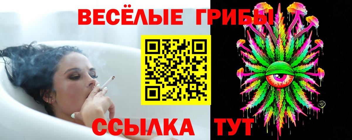Галлюциногенные грибы Magic Shrooms Казань